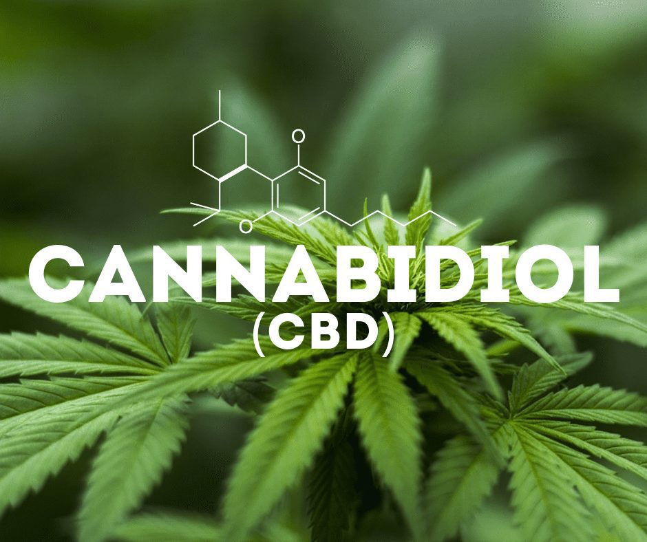 Surprising Benefits Of Using Cannabinoids For Medical Purposes ...