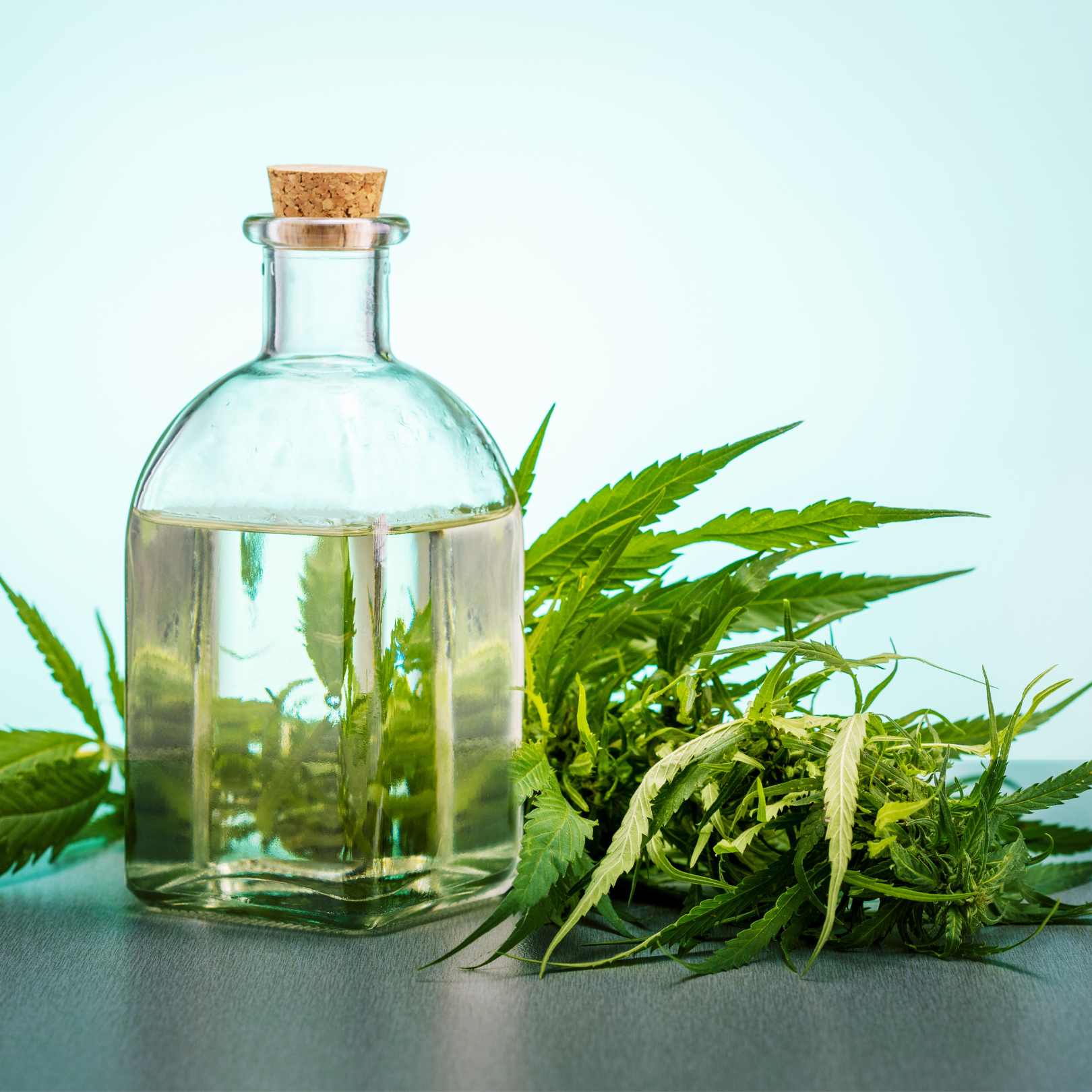 Why Choose Hemp Products? The Advantages of Natural Wellness Solutions