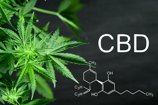 CBD, est-il une drogue ?