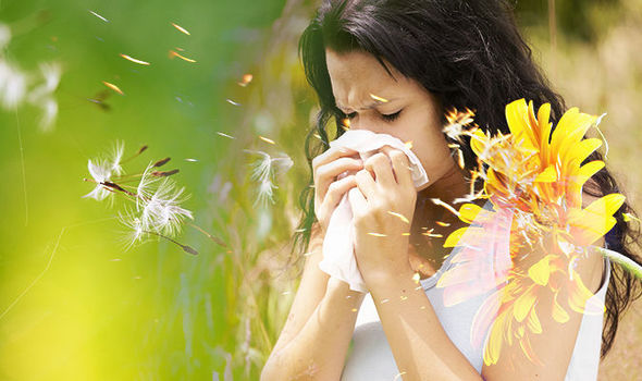 MANAGE HAY FEVER WITH CBD (CANNABIDIOL)