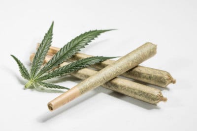 CBD FLOWERS and CBD pre-rolls are a new favorite in EUROPE! haven't you tried CBD FLOWERS or CBD pre-rolls yet? well you should, it's a great experience…