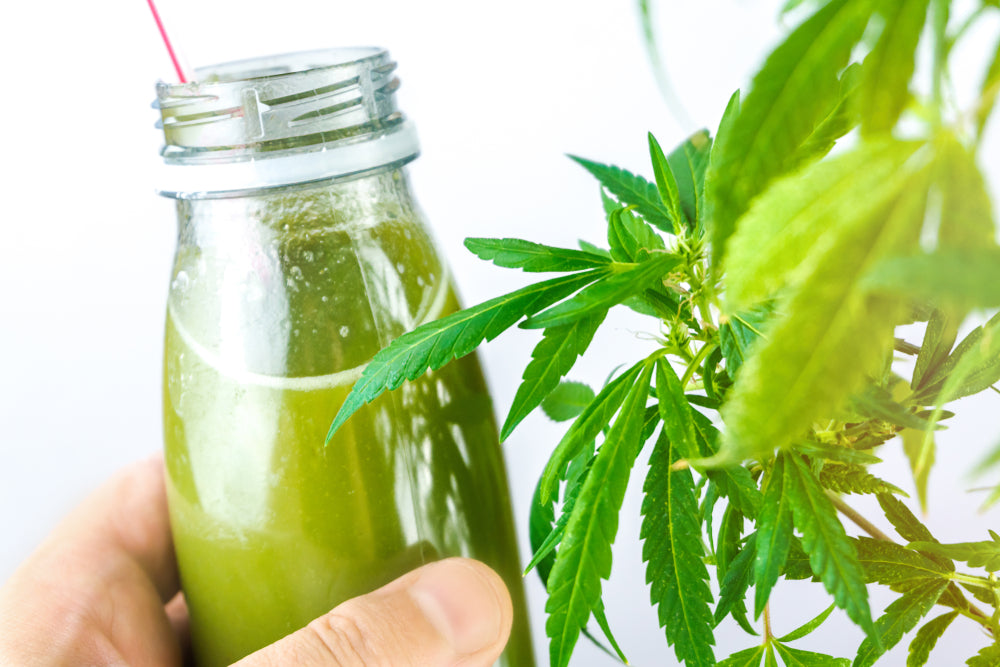 CBD Infused Beverage Market Continues to Grow