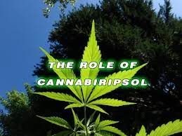 Cannabiripsol (CBR) - Buy Cannabiripsol in the UK & Ireland