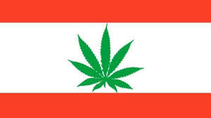 CBD legal in lebanon? yes this is finally happening. CBD will be soon available in LEBANON. CBD will be a big boost to LEBANON economy