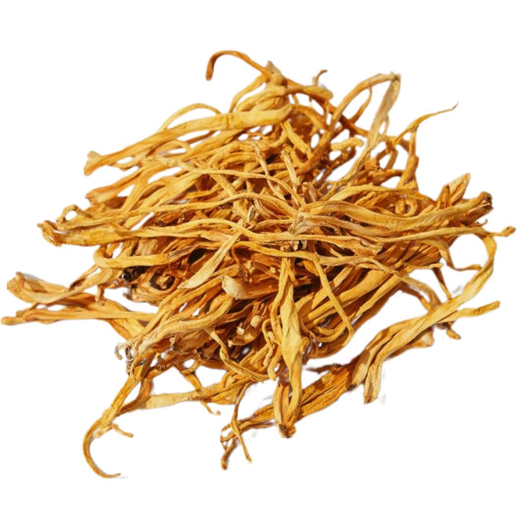 HG Cordyceps Capsules Bio (90 Capsules) | Hempire Gardens